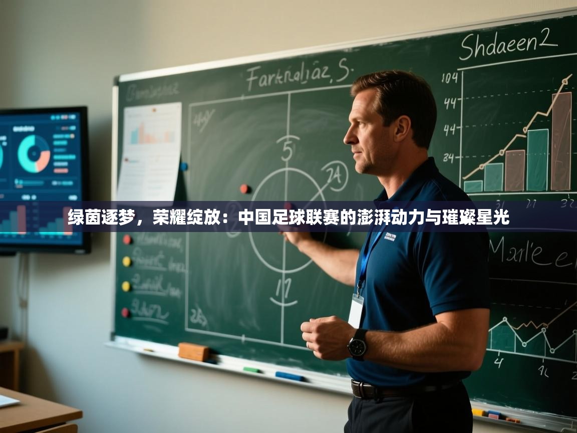 绿茵逐梦，荣耀绽放：中国足球联赛的澎湃动力与璀璨星光  第1张
